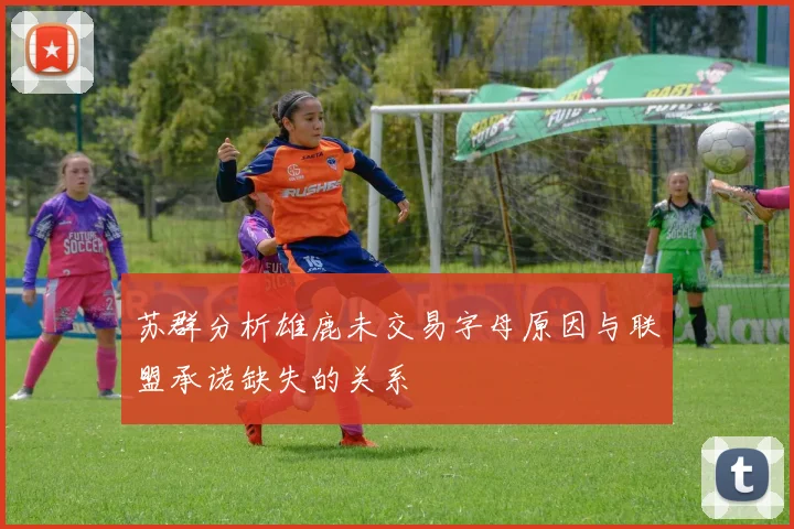 苏群分析雄鹿未交易字母原因与联盟承诺缺失的关系